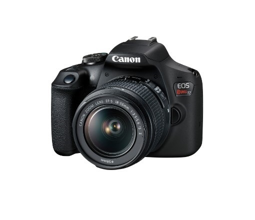 Câmera para iniciantes 2021 - Canon T7+